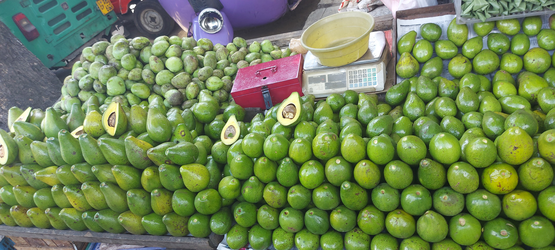 sei-lanka-fruits-unlimited-travel