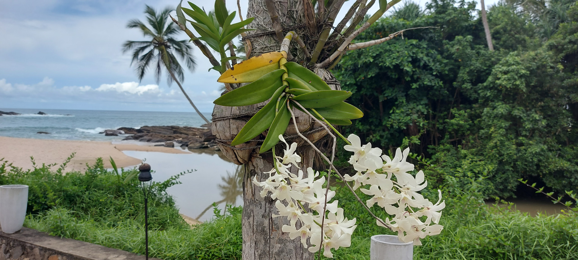 sri-lanka-nature-with-unlimited-travel