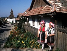 44-holloko2