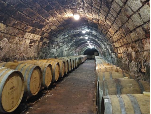 Castles, gardens, wines (Central Hungary & Mór & Neszmély wine regions)