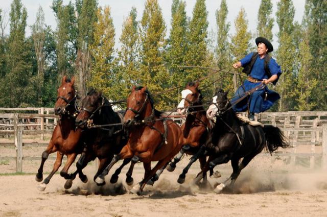 Puszta tour (full day)