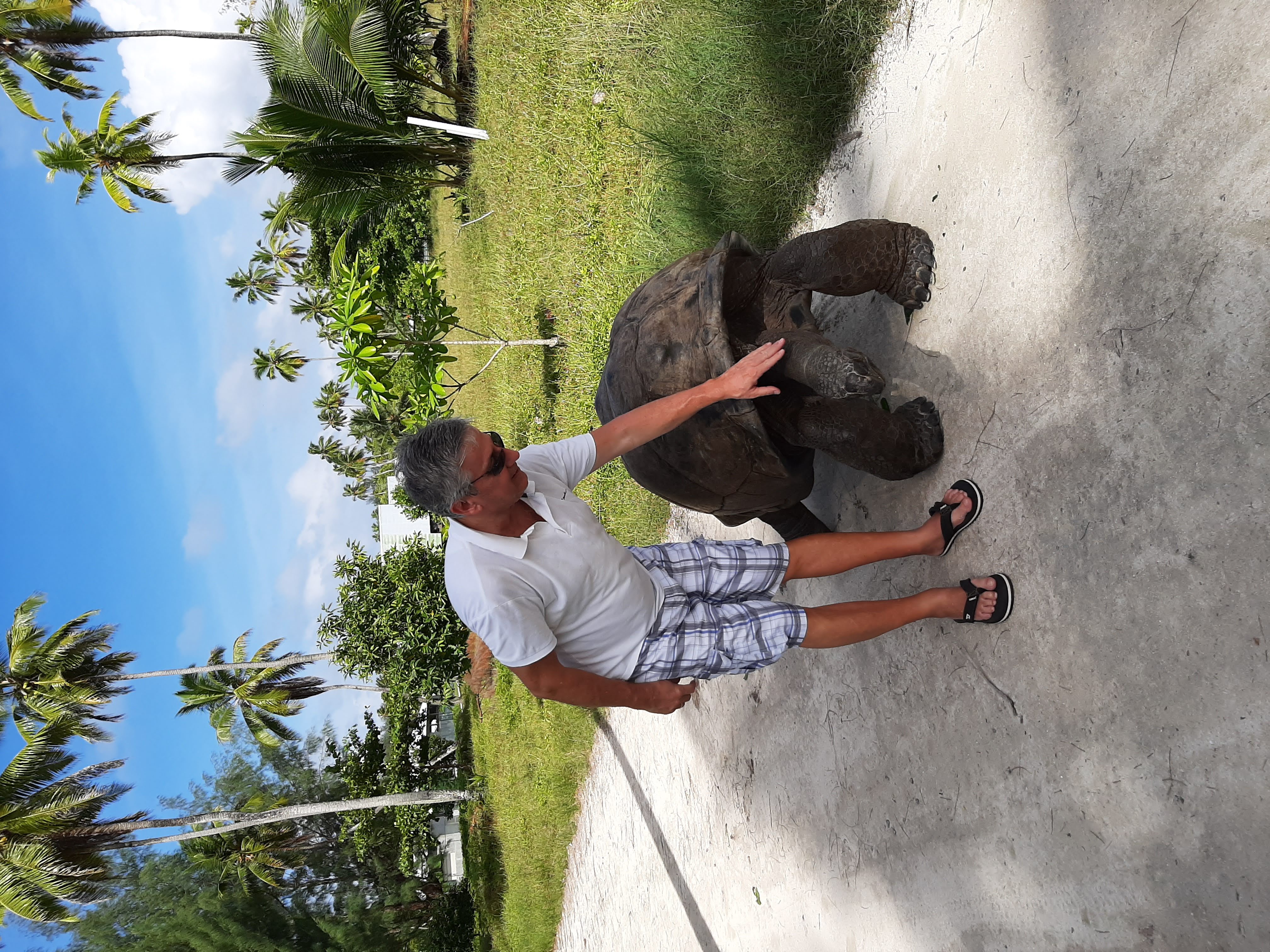 deroche-island-seychelles-george-the-turtle---with-unlimited-travel